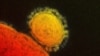 MERS-CoV Claims Four More Lives