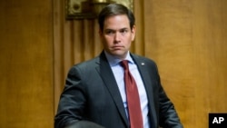 El senador de la Florida, Marco Rubio, tienen plazo hasta junio para tomar una decisión.