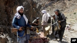 FILE - Armed Taliban fighters are seen in Herat province, Afghanistan, May 27, 2016. 