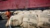 Lutte anti-corruption : la justice ivoirienne frappe contre des anciens responsables de la filière cacao