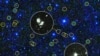 Exploration spatiale: les astronomes mobilisés cette semaine