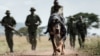 Dans la savane kényane, le chien est le meilleur ami des animaux contre le braconnage