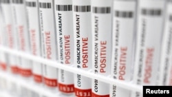 FILE PHOTO: Illustration shows test tubes labelled "COVID-19 Omicron variant test positive\