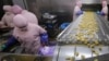 China Arrests Five Involved in Meat Scandal