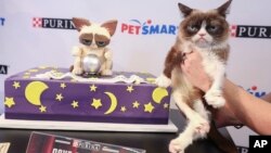 FILE - America's favorite famous feline, Grumpy Cat, celebrates her sixth birthday with Purina and PetSmart at the "Save a Fortune" event on Wednesday, April 4, 2018 in New York. (Purina)