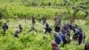 Report: Coca Production in Colombia Jumped 39 Percent in 2014