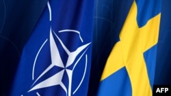 Bendera Swedia (kanan) dan NATO saat konferensi pers Perdana Menteri Swedia dengan Sekretaris Jenderal NATO pada 24 Oktober 2023 di Stockholm, Swedia. (Foto: AFP)