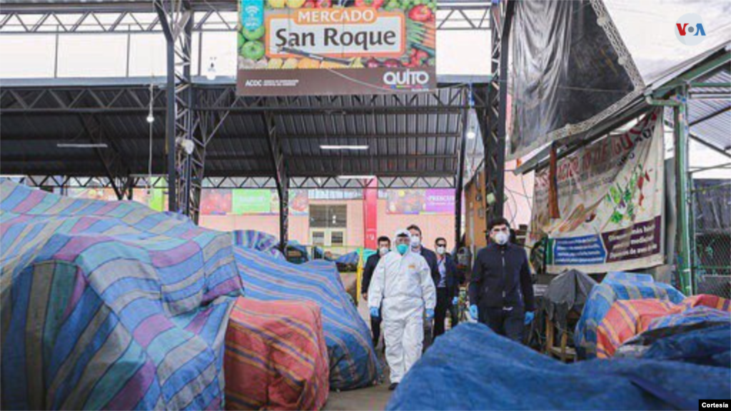 Como medida para sortear el impacto económico de la pandemia en el país, el presidente Lenín Moreno ordenó una reducción del 50% de los salarios de los principales funcionarios y diputados. Foto: Cortesía.