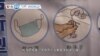 VOA國際60秒(粵語): 2020年2月10日