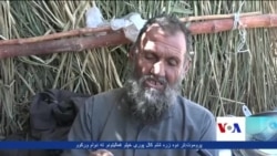 د افغانستان طلایي ممیز؛ بیه یې له نورو ممیزو څلور برابره لوړه ده