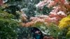 16x9 Image