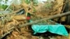 Philippines Typhoon Kills at Least 4, Causes Flooding, Damage