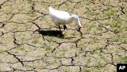 Moçambique atenta a mudanças climáticas