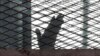 Egypt Executes 9 Over 2015 Killing of Top Prosecutor