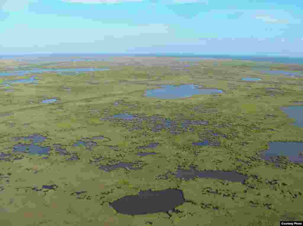 These subsiding marshes in the Mississippi River Delta are important habitat for wildlife and serve as protective buffers against storms and hurricanes. (K. L. McKee/USGS)