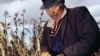 IFPRI Calls for Greater Action to End Hunger 
