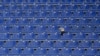 Sebagian Stadion Lazio Ditutup, Hukuman atas Tindakan Rasis Pendukungnya 
