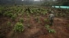 Saisie record de 2,5 tonnes de cocaïne près de Rio