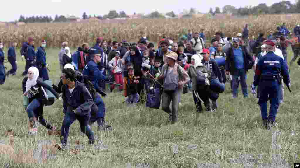 Des migrants s’évadent d’un centre de transit pour les demandeurs d'asile à Roszke, un village du sud de la Hongrie, 8 septembre 2015.