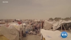 Des milliers de réfugiés nigérians fuient vers le Cameroun