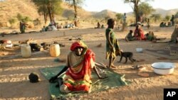 Les réactions en Afrique après les révolutions tunisienne et égyptienne : Tchad