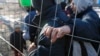 L'Autriche instaure un quota journalier de migrants sur son territoire