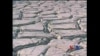 年终报道：气候变化