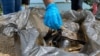 Voluntarios recogen desechos en el lago de Maracaibo, Venezuela, el 23 de octubre de, 2021. [Foto: VOA/Gustavo Ocando]