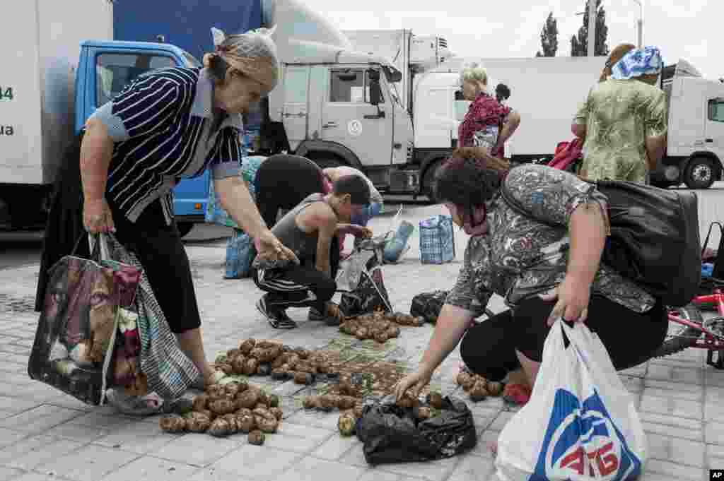 Local citizens collect potatoes distributed by the Ukrainian army in Slovyansk, eastern Ukraine, July 9, 2014.
