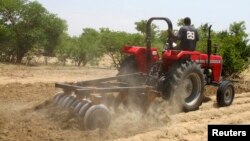 FILE - A farmer plows the field in Saulawa village, on the outskirts of Nigeria's north-central state of Kaduna.