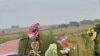 Analyst Says Zuma Calmed Tensions After White Supremacist’s Murder