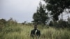 Des miliciens lancent deux attaques simultanées à Lubumbashi