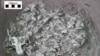 Paleontologists Analyze Possible Dinosaur Nest, Young ‘Babysitter’