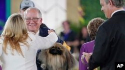 Competitors congratulate David Fitzpatrick, second from left, owner, breeder and handler of Wasabi, a Pekingese, who won Best in Show at the Westminster Kennel Club dog show, June 13, 2021, in Tarrytown, N.Y.