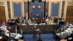 In this image from video, House impeachment manager Rep. Hakeem Jeffries, D-N.Y., speaks during the impeachment trial against President Donald Trump in the Senate at the U.S. Capitol in Washington, Friday, Jan. 24, 2020. (Senate Television via AP)