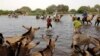 Suicide Bombers Kill 30 in Market Attack in Chad