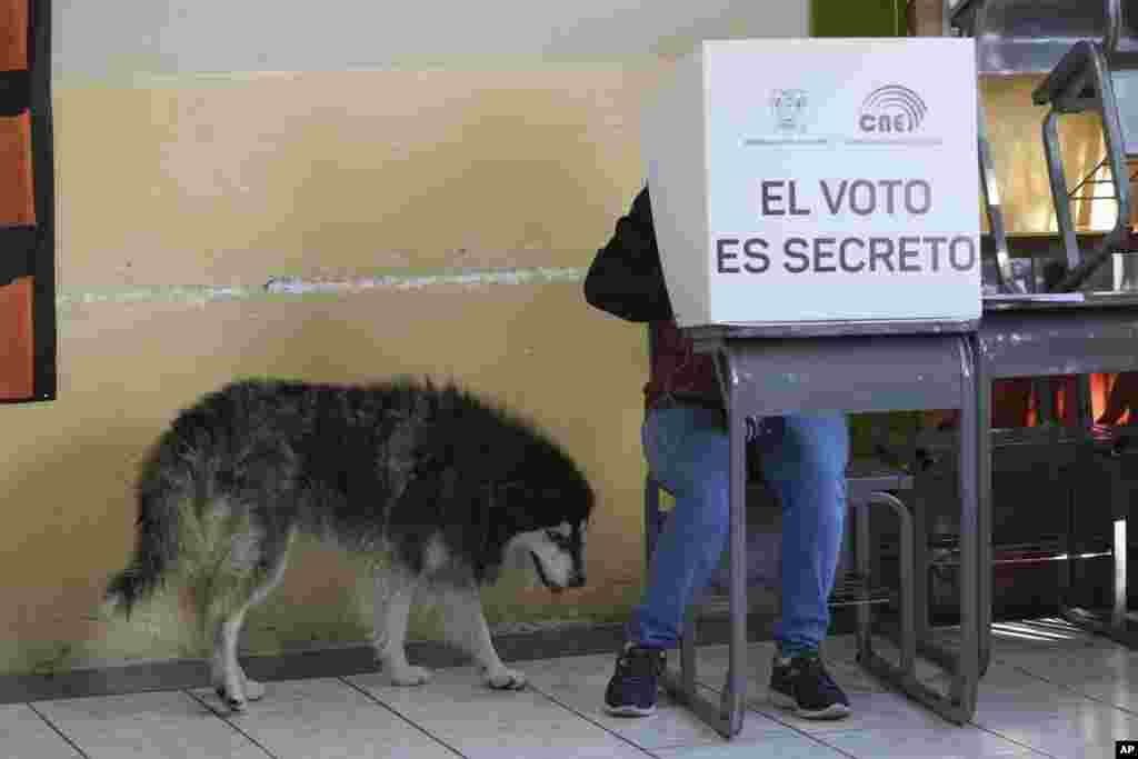 Un hombre acompañado de su perro vota en las elecciones de medio término y un referendo nacional en Quito, Ecuador, el 5 de febrero de 2023.
