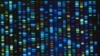 Scientists Release New Accounting of Human Genome