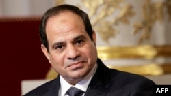 Le président egyptien Abdel Fattah el-Sissi a donné un discours à l'Elysée, Paris, le 26 novembre 2014. 