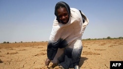 Image released by Oxfam shows a women pointing at the dry land in Oud Guedara. Early indicators point to a likely food crisis in 2012, with people at particularly high risk in Mauritania, Niger, Burkina Faso, Mali and Chad.