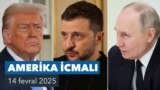 Amerika İcmalı