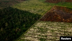 Penampakan dari udara atas bagian-bagian hutan yang telah dibakar di Riau. 