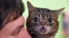 Saudi Cleric: Selfies with Cats ‘Prohibited’