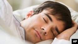 Human sleep patterns have evolved from prehistoric time to modern day and we do sleep better in a shorter amount of time than other animals.