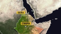 ኤርትራ፡ ኢትዮጵያን ሱዳንን ንተቓወምቲ ክሕግዙ ተሰማሚዖም ክትብል ትኸስስ፡ ኢትዮጵያ ነዚ ክሲ ትነጽግ