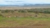500-Year-Old Skeletons Headed for Native American Tribes