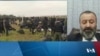 Rewşa Dawî ya Kurdên ku li Belarûsyayê Asê Mane Çi Ye?