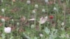 16x9 Image