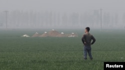 A man stands next to tombs in the field on the outskirts of Rongcheng county, one part of the new special economic zone Xiongan New Area, China, April 6, 2017. (REUTERS/Jason Lee)