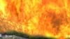 Unaltered agricultural raised fields in French Guyana that remain much as ancient Amazon farmers left them. The simulated background flames represent the European slash-and-burn agriculture that came afterward. 